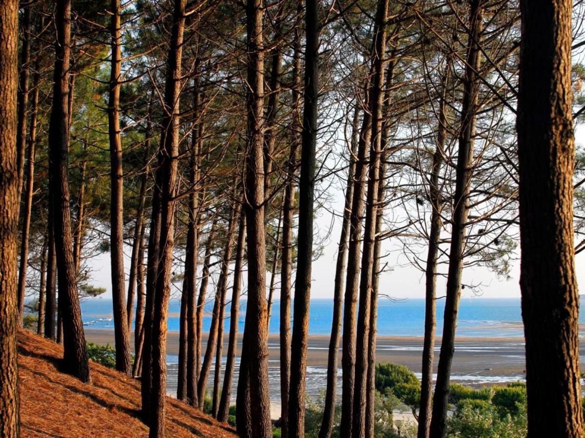 Maison Moderne Pres Plage Aiguillon - 2 Chambres, Terrasse, Jardin, Parking - Calme Et Confort - Fr-1-420-63 Arcachon Eksteriør bilde